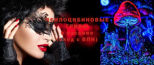 амф Балахна