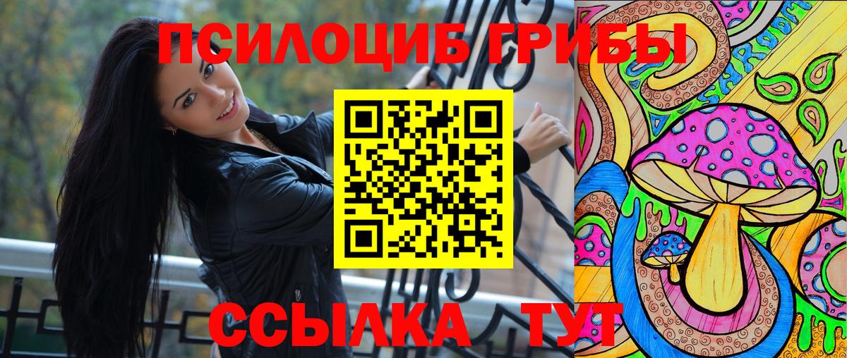 Псилоцибиновые грибы Cubensis  Вход с VPN  Великий Устюг  Псилоцибиновые грибы Psilocybe 